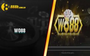 Wo88