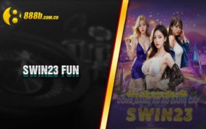 Swin23 Fun